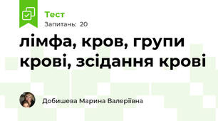лімфа, кров, групи крові, зсідання крові