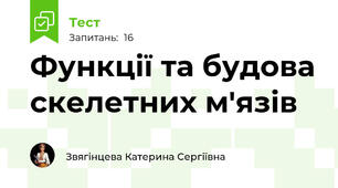  Функції та будова скелетних м'язів