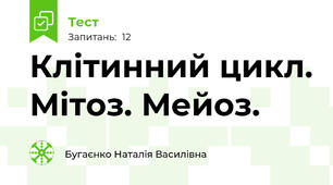 Клітинний цикл. Мітоз. Мейоз.