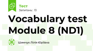 Vocabulary test Module 8 (ND1)