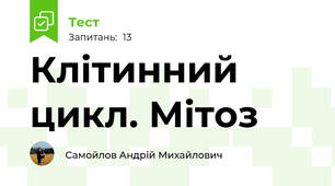 Клітинний цикл. Мітоз