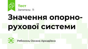 Значення опорно- рухової системи
