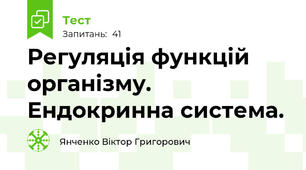 Регуляція функцій організму. Ендокринна система.