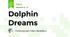 Dolphin Dreams 🐬