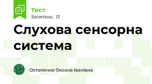 Слухова сенсорна система