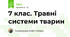 7 клас. Травні системи тварин