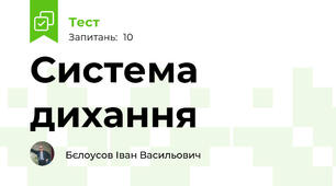 Система дихання