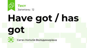 Have got / has got