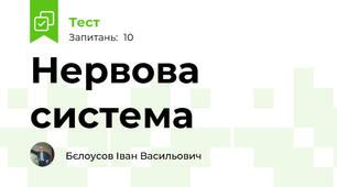Нервова система