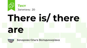 There is/ there are