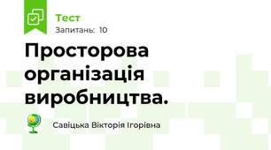 Просторова організація виробництва.