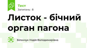 Листок - бічний орган пагона
