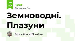 Земноводні. Плазуни