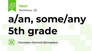 a/an, some/any 5th grade