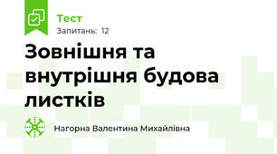 Зовнішня та внутрішня будова листків