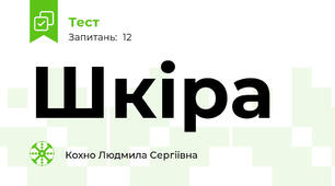 Шкіра