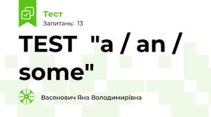 TEST  "a / an / some"