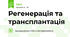 Регенерація та трансплантація
