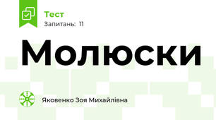 Молюски