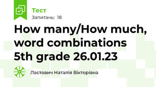 How many/How much, word combinations 5th grade 26.01.23