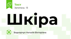 Шкіра