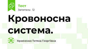 Кровоносна система.