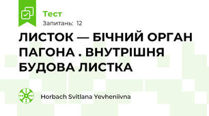 ЛИСТОК — БІЧНИЙ ОРГАН ПАГОНА . ВНУТРІШНЯ БУДОВА ЛИСТКА