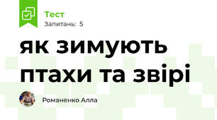 як зимують птахи та звірі