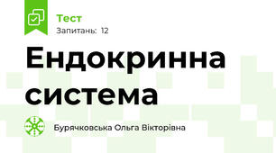 Ендокринна система