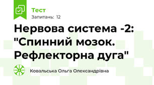 Нервова система -2: "Спинний мозок. Рефлекторна дуга"