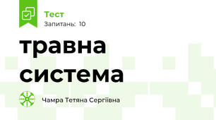 травна  система