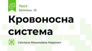 Кровоносна система