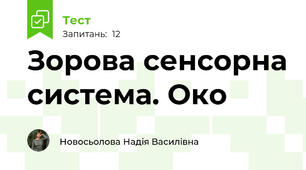 Зорова сенсорна система. Око