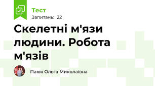 Скелетні м'язи людини. Робота м'язів