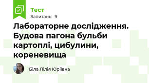 Лабораторне дослідження. Будова пагона бульби картоплі, цибулини, кореневища