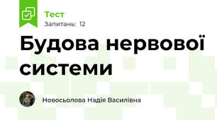 Будова нервової системи