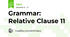 Grammar: Relative Clause 11