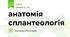 анатомія сплантеологія