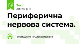 Периферична нервова система.