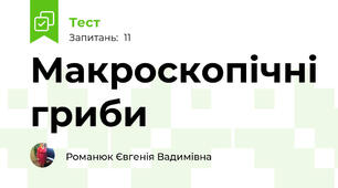 Макроскопічні гриби