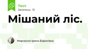  Мішаний ліс.