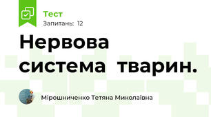 Нервова система  тварин.
