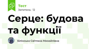 Серце: будова та функції 