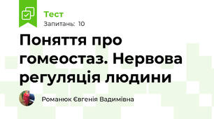 Поняття про гомеостаз. Нервова регуляція людини