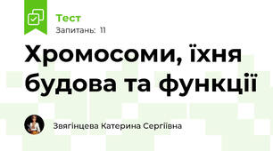 Хромосоми, їхня будова та функції