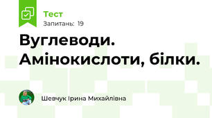 Вуглеводи. Амінокислоти, білки.