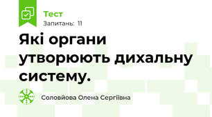 Які органи утворюють дихальну систему. 