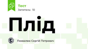 Плід