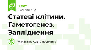 Статеві клітини. Гаметогенез. Запліднення