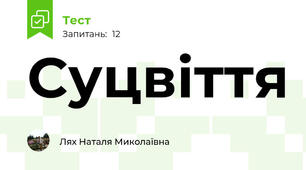  Суцвіття